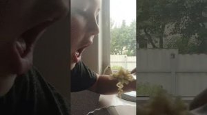 итальянские макароны в деревне голожопово
