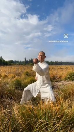 Чен Цзяньфэн
Поток Тайцзицюань, круг и удар кулаком