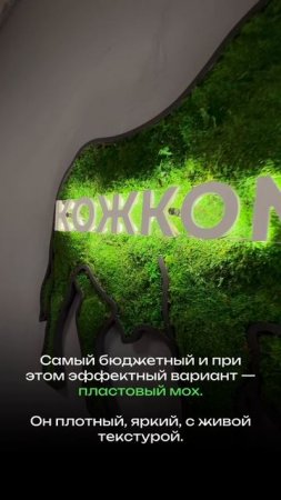 Вывеска из пластового мха с подсветкой