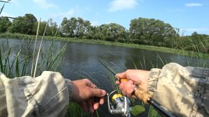 Рыба моей мечты ! Мощь поклевки пугает !