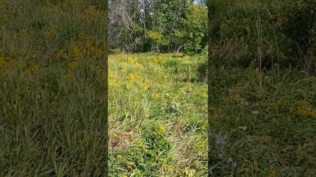 Маленькое путешествие 😊