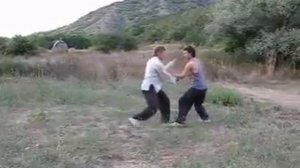 Синъи цюань дуйлянь (парная работа).