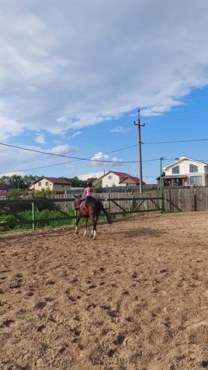 Аврелия наматывает 50 штрафных вольтов на F, готовимся к ОСФ А.