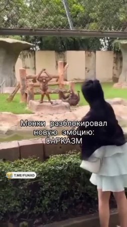 Похлопал😁