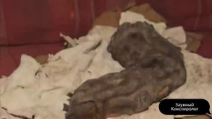 Доказательства Существования Гигантов! Почему История Замалчивает Эти Факты!