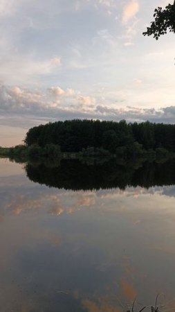 1000025696.mp4
Байкаловский район,деревня Палецкова,плотина на реке Сараевка