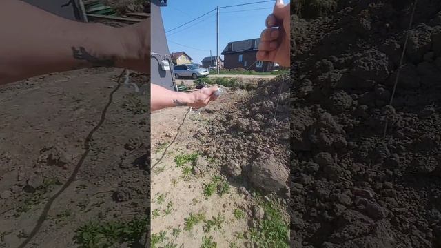 Электрик Калининград .mp4