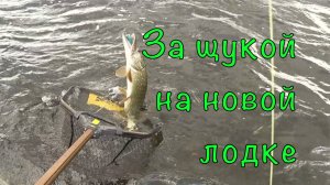 Злые ЩУКИ и тест НОВОЙ лодки.