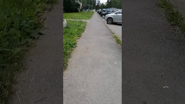 VID_20250628_163510