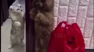 Когда пришёл домой пьяный