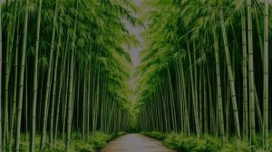 Любовь подобна звездам, кавер