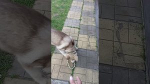 1000019979.mp4