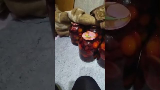 1000019775.mp4
