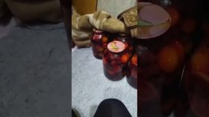 1000019775.mp4