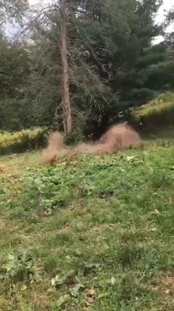 🔥СмехоМания t.me/Laughomania