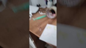 бумажные котики с одеждой👕🐱🐱🗒