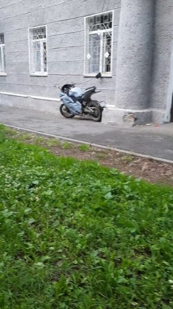 Технолоджи