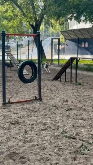 Невезучее место