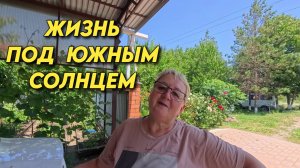 926 Жизнь семьи на юге России/Переехали жить на Кубань/Купили дом