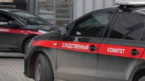 В Карелии на реке Чална утонула пятилетняя девочка