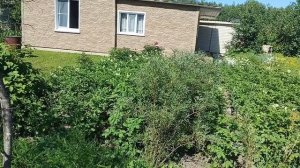 Огородный обход, нерадует своим урожаем
