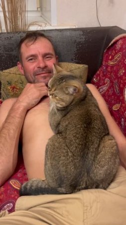 Это любовь…. #кошачьялюбовь #cat #котики #кот #кошка