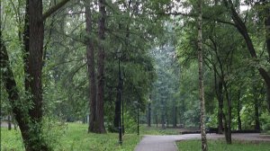 Ооочень смелая  белка.