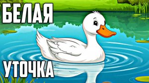 Сказки для детей | аудиосказки | детские сказки|Белая Уточка| добрые сказки| сказки на ночь