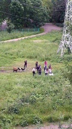 VID_20250627_215136