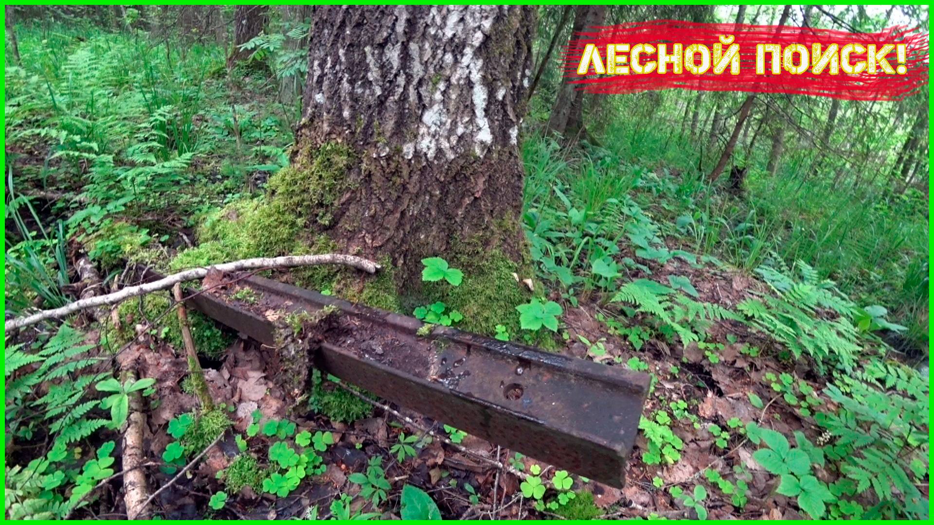 ДОБРАЛИСЬ! НЕЛЁГОК БЫЛ НАШ ПУТЬ! ИЩЕМ МЕТАЛЛОЛОМ В ДЕЛЯНКАХ 1965 ГОДА!
