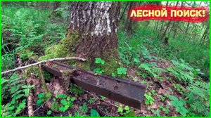 ДОБРАЛИСЬ! НЕЛЁГОК БЫЛ НАШ ПУТЬ! ИЩЕМ МЕТАЛЛОЛОМ В ДЕЛЯНКАХ 1965 ГОДА!
