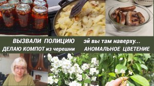 ВЛОГ/Вызвали полицию🚓Делаю компот из черешни🍒 Аномальное цветение