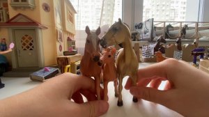 Обзор на первых и последних лошадей
