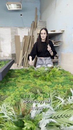Картина-поляна из мха и растений разных цветов и оттенков