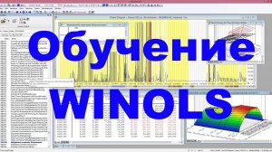 Все о Winols Знакомство с программой
