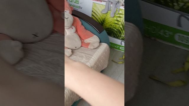 У меня эластичные руки 😯
Шутка