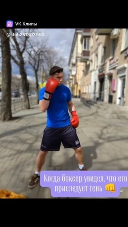 SashaBoxlegenda