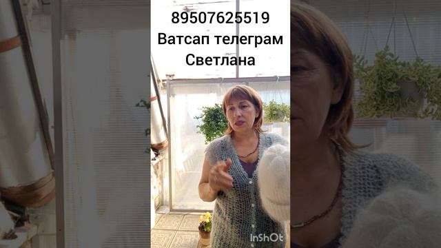 Пуховые ажурные жилетки,кофточки,косынки,шарфы,носочки,перчатки