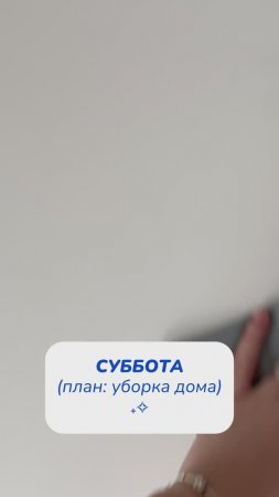 Суббота (план: уборка дома)