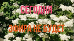 28.06.2025 Эфира не будет