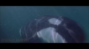 КРАТКИЙ ПЕРЕСКАЗ ФИЛЬМА !!! 2025 !!!