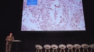 Pfizer советует вакцинированным от COVID мужчинам не заниматься сэксом