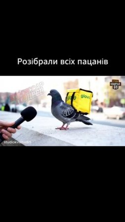 Когда уже забрали буквально всех на ноль