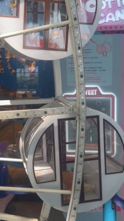 Собачки из щенящего патруля на колосе обозрения с Бушей
