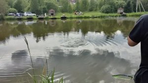 Светлые Горы Карп2 28.06.2025г.