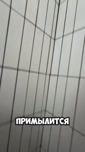 scene_output.mp4