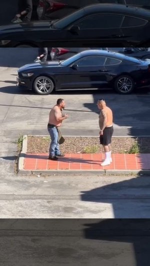 Смешные видео