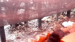 Дача Кухня Кошки. Пушистый красавчик обедает на даче🐱🏡