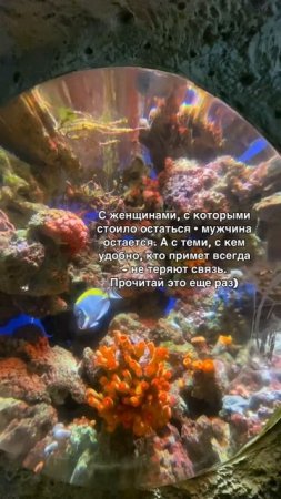 Останется