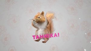 Белка Днюха